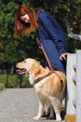 犬の後頭部あたりにお姉さんのラブビーム直撃