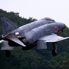 大トリミング！ファントム！