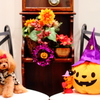 ハロウィンのトイプードル
