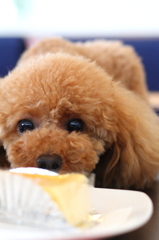 ママのケーキなんだって