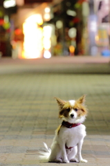 メイファーズ