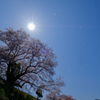 きらり