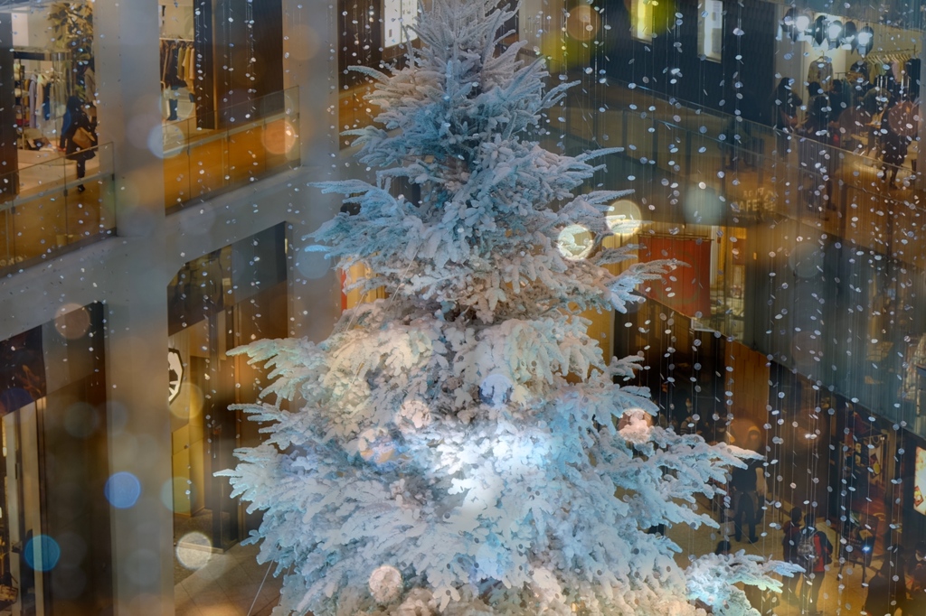 夢のクリスマス・Ⅱ