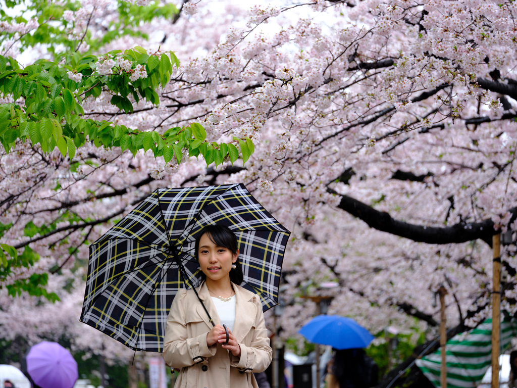 花時雨・２