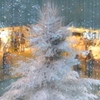 夢のクリスマス