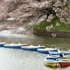 千鳥ヶ淵・２