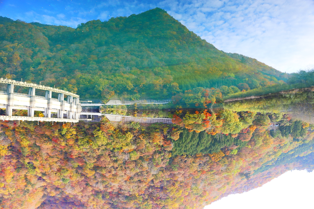 『負の世界』 ~二つの紅葉~