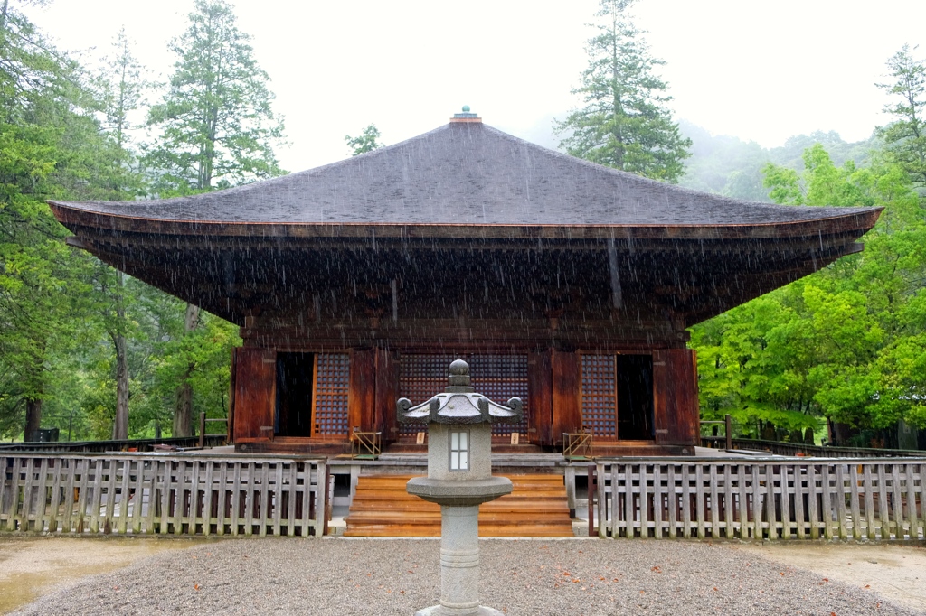 〜五月雨は癒しの薫り〜