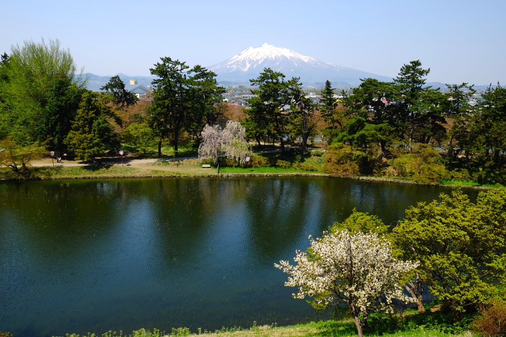 『弘前公園』１１