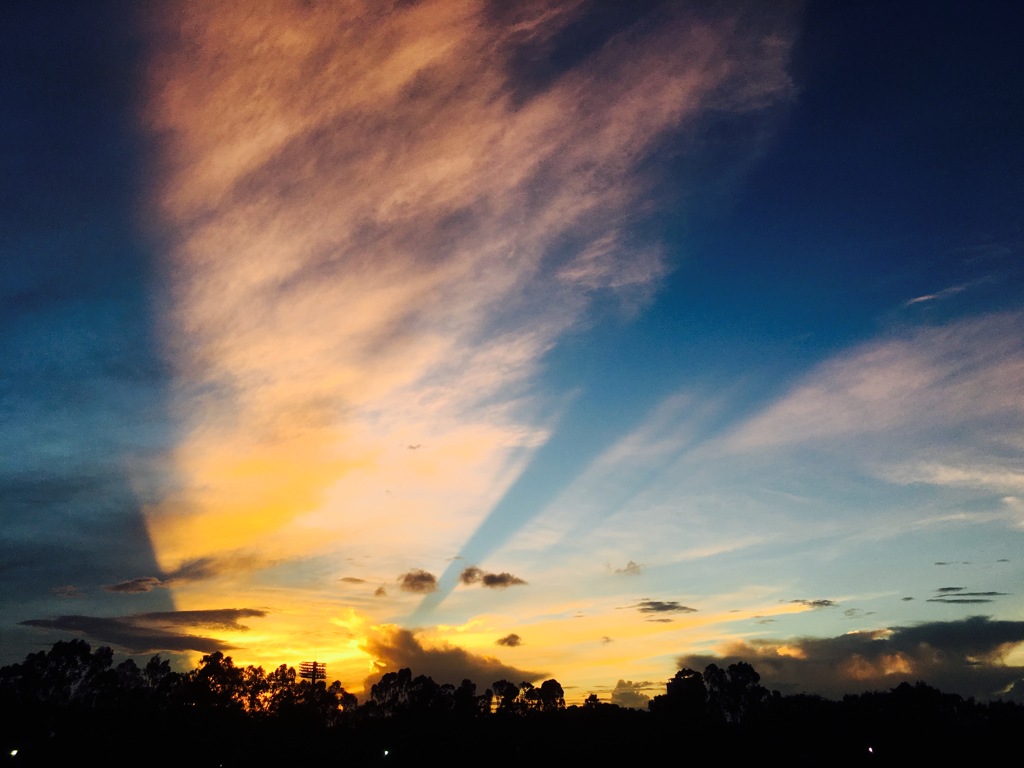 今日の夕日