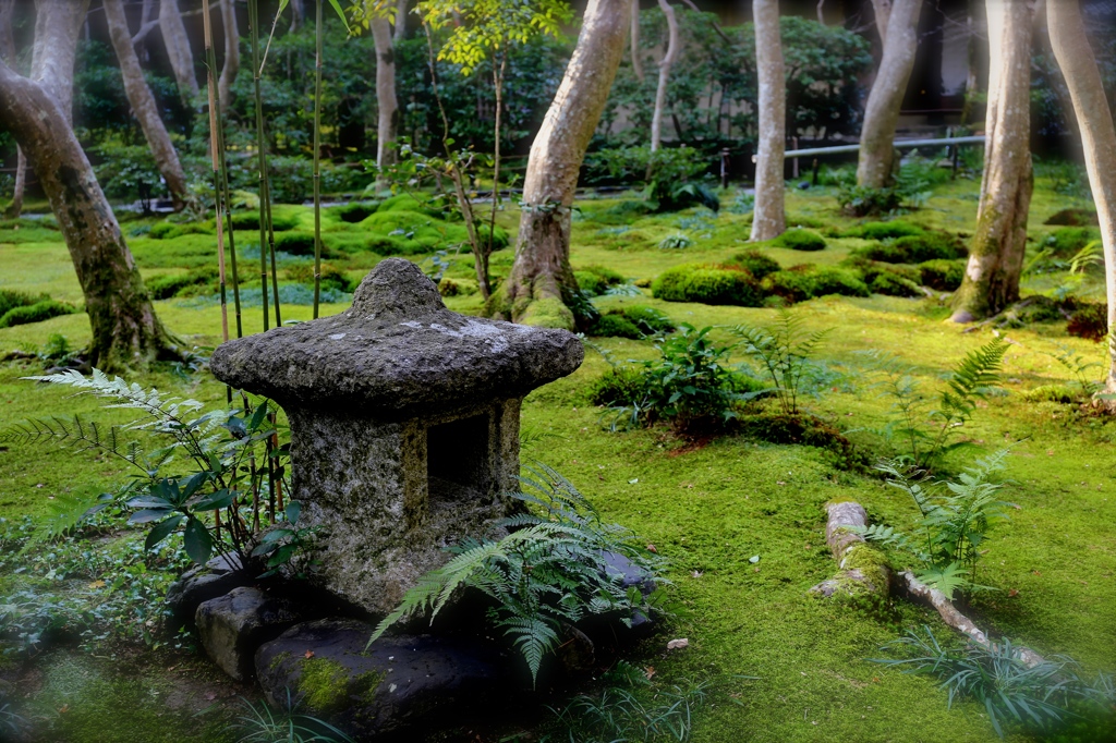 祇王寺・５