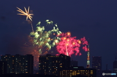 東京湾大華火祭・３