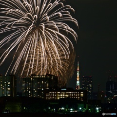 東京湾大華火祭・１