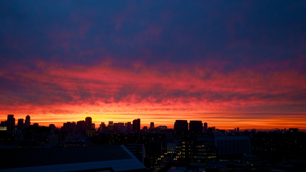 情熱の空