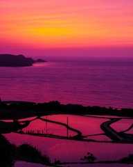 棚田の夕暮れ