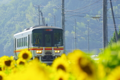 向日葵列車が行く