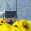 向日葵列車が行く