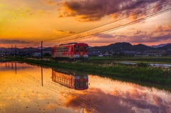 北条鉄道の夕日