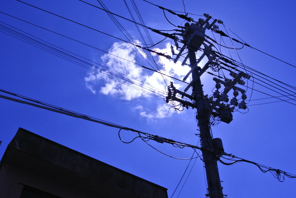 夏の空