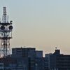 電波塔の朝