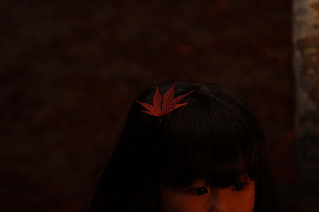 紅葉の髪飾り