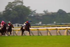 競馬来た！！！