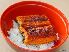 今日の社食ランチ