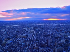 ２０１５元旦　スカイツリーより東の空を望む