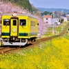 菜の花列車 春を行く