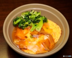 今日の夕食