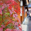 東山茶屋街の紅葉