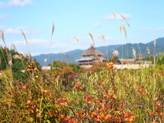 秋の吉野ヶ里公園