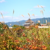 秋の吉野ヶ里公園