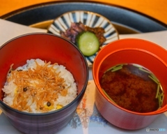今日の夕飯