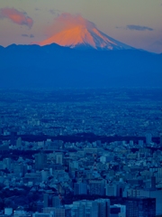 ２０１５元旦　スカイツリーより富士山を望む