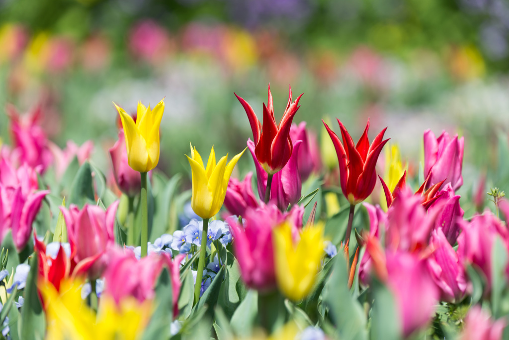 20140405_028