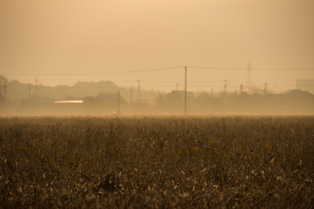 20131117_108