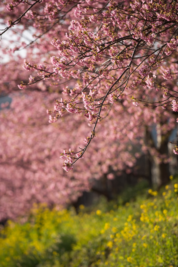 20150228_001