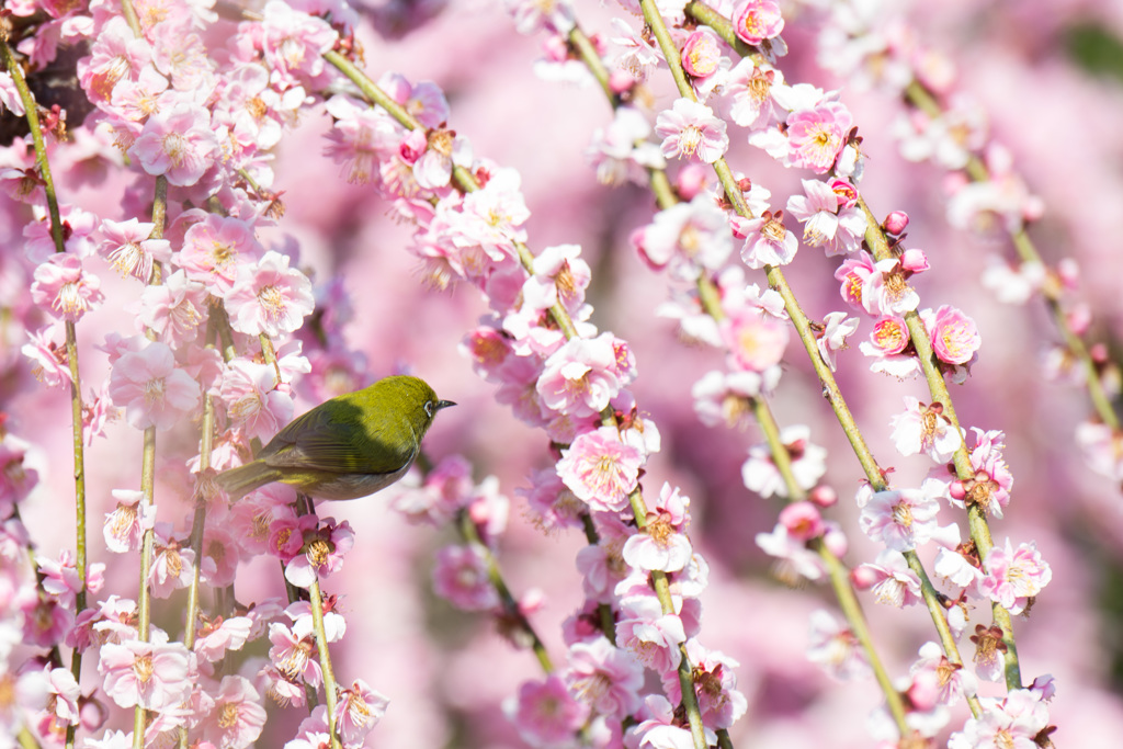 20150314_003