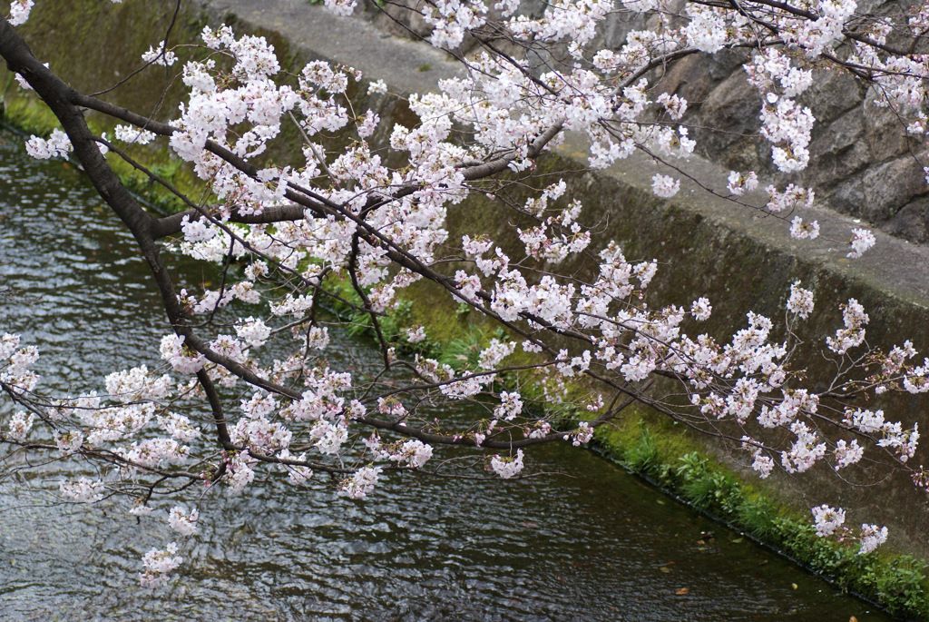 川岸