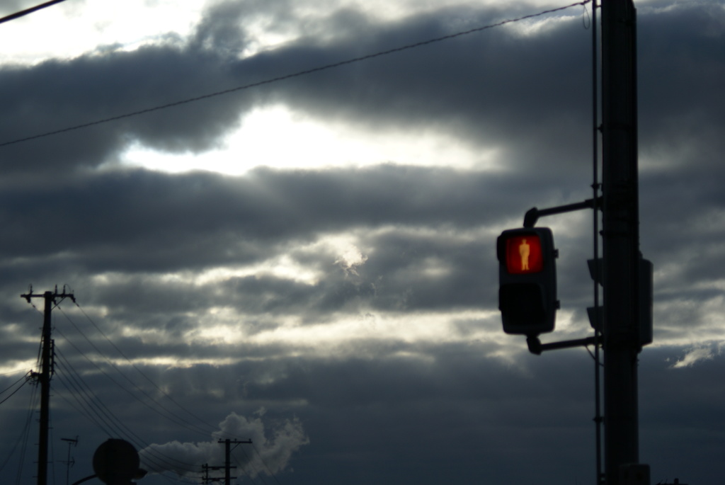 散歩道(9)　朝日