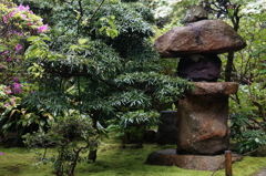 鎌倉・報国寺庭園（２）