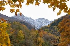 紅葉の向こうは雪