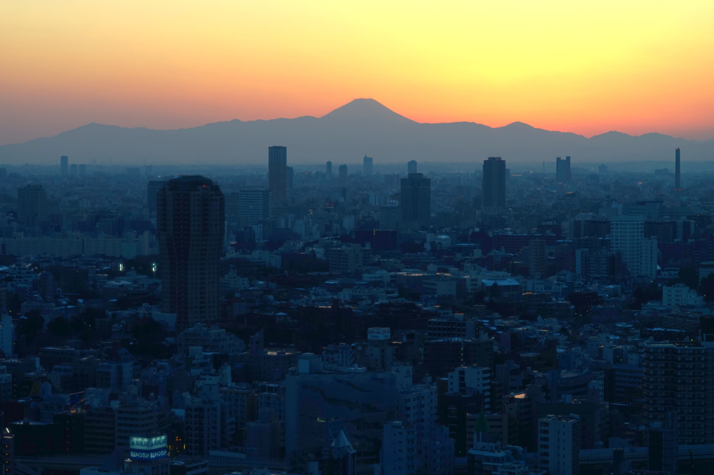 東京の夕暮れ