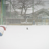 雪の日にひとりじめ