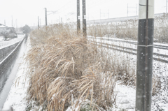 雪降る朝Ⅰ