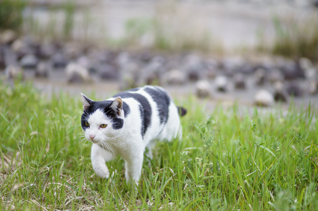 歩こう～♪