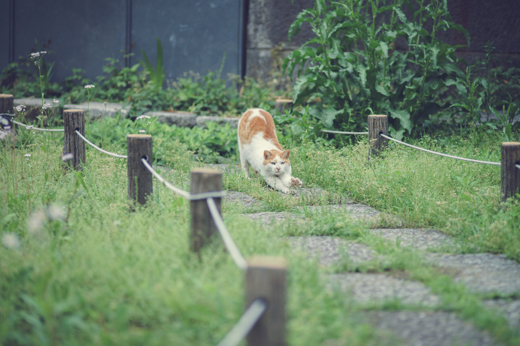 ストレッチ中ですけど、何か？