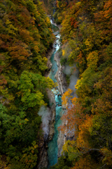 清流と紅葉(小安峡)