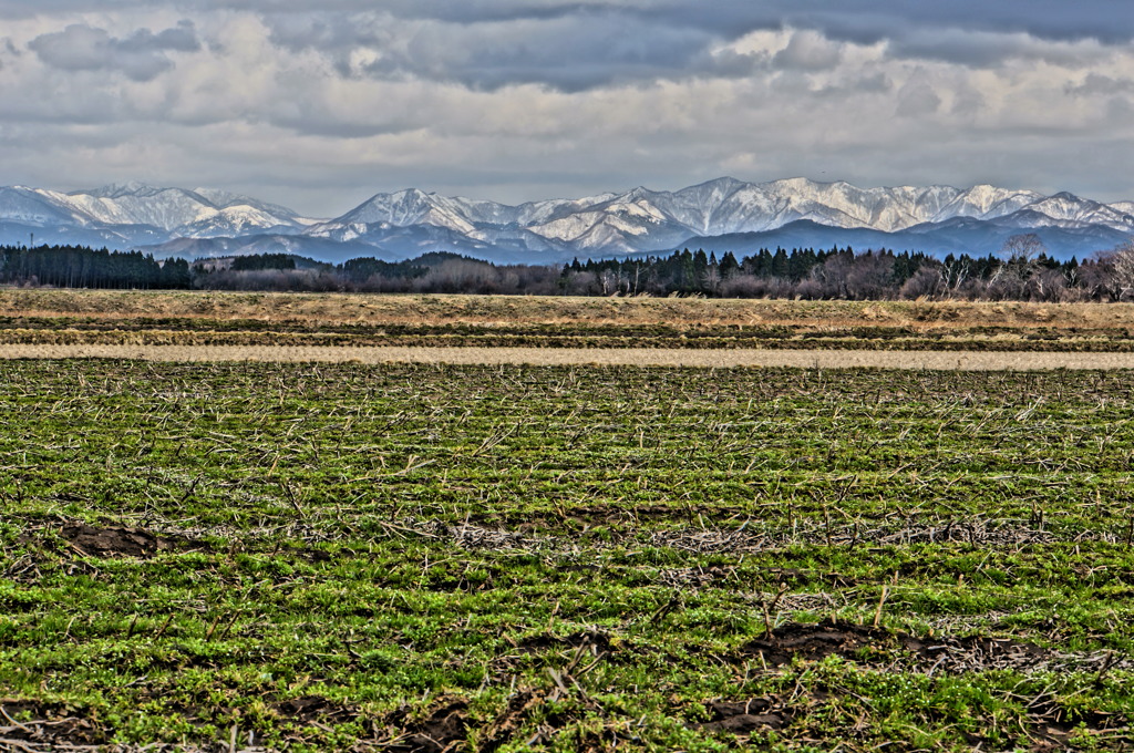 白神山地　絵画調